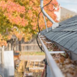 Gutter Cleaning